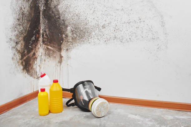 Crawl Space Mold Removal in Douglasville, GA