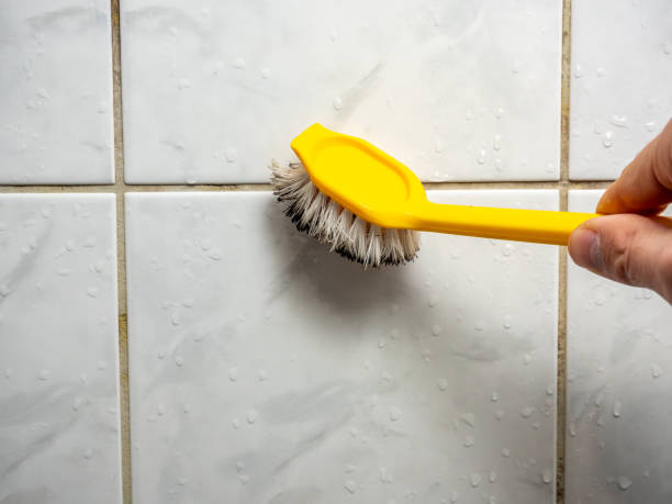 Best Mold Removal Specialists  in Douglasville, GA
