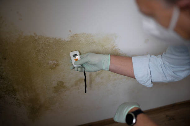 Crawl Space Mold Removal in Douglasville, GA