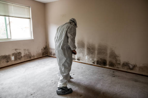 Certified Mold Removal in Douglasville, GA