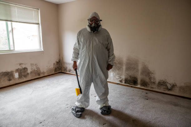 Attic Mold Removal in Douglasville, GA